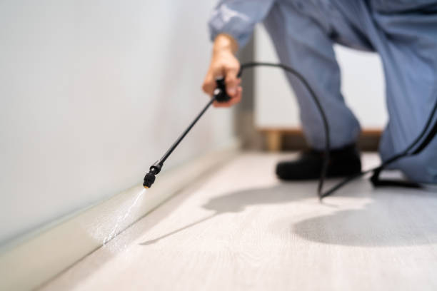 Licensed Rodent Control service in Henderson, GA - Nex Pest Control
