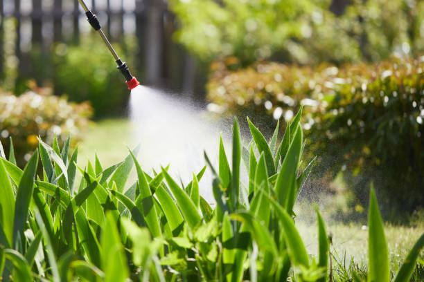 24/7 Emergency Rodent Control experts in Henderson, GA