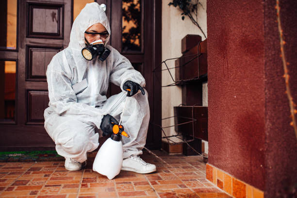 Reliable Rodent Control contractor in Henderson, GA by Nex Pest Control