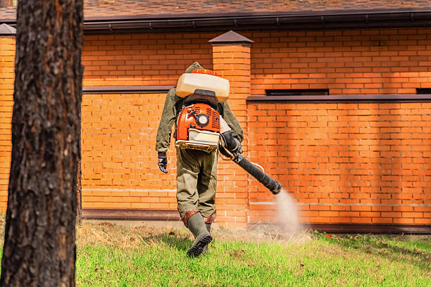 Trusted Termite Control service in Henderson, GA - Nex Pest Control
